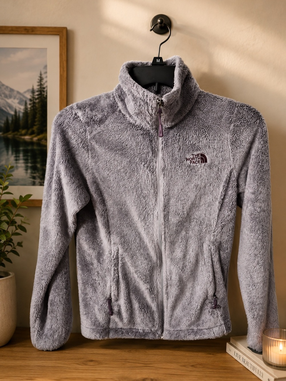 The North Face Women's Plush Full-Zip Teddy Jacket in Light Gray